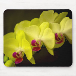 Alfombrilla De Ratón Orquídea amarilla - Mousepad