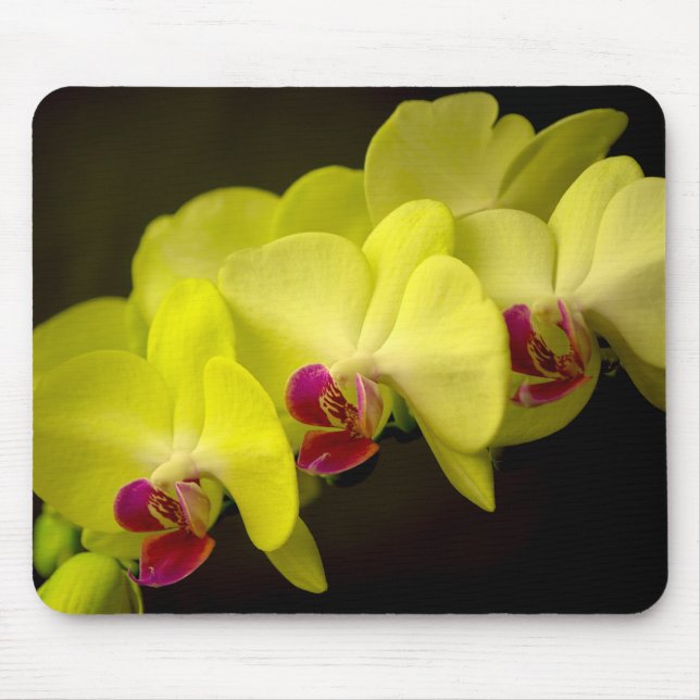Alfombrilla De Ratón Orquídea amarilla - Mousepad (Frente)