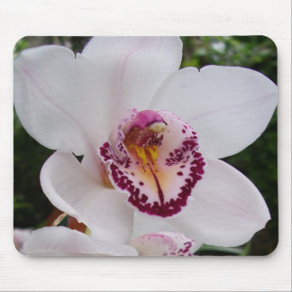 Alfombrilla De Ratón Orquídea Blanca I Hermosa Flor Tropical