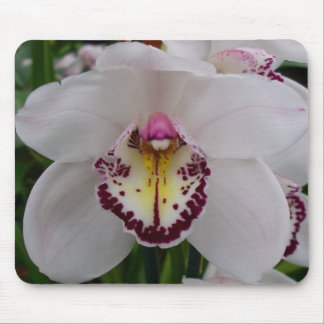 Alfombrilla De Ratón Orquídea Blanca II Elegante Floral