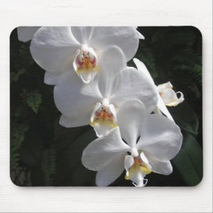 Alfombrilla De Ratón Orquídea blanca Mousepad