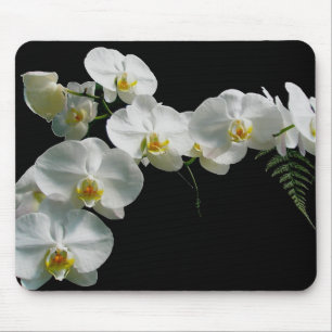 Alfombrilla De Ratón Orquídea blanca Mousepad