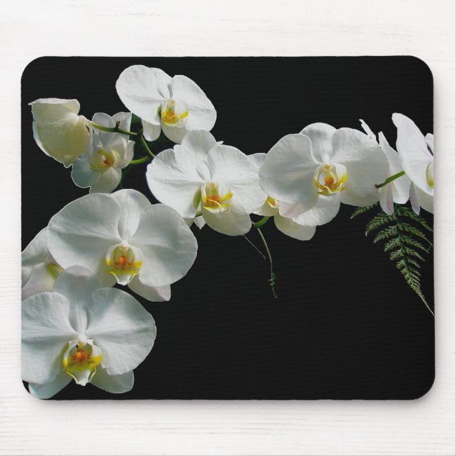 Alfombrilla De Ratón Orquídea blanca Mousepad (Frente)