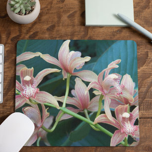 Alfombrilla De Ratón Orquídea De Cimbidio Rosa