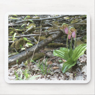Alfombrilla De Ratón Orquídea de pantufla rosa
