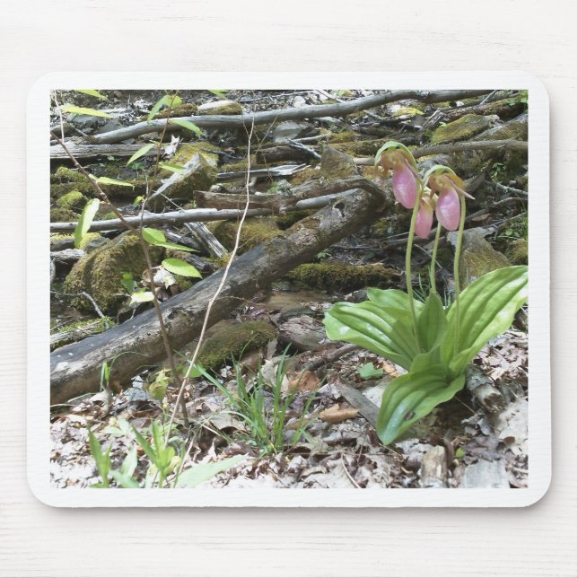 Alfombrilla De Ratón Orquídea de pantufla rosa (Frente)