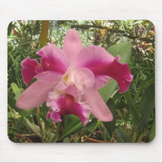 Alfombrilla De Ratón Orquídea de Rican de la costa