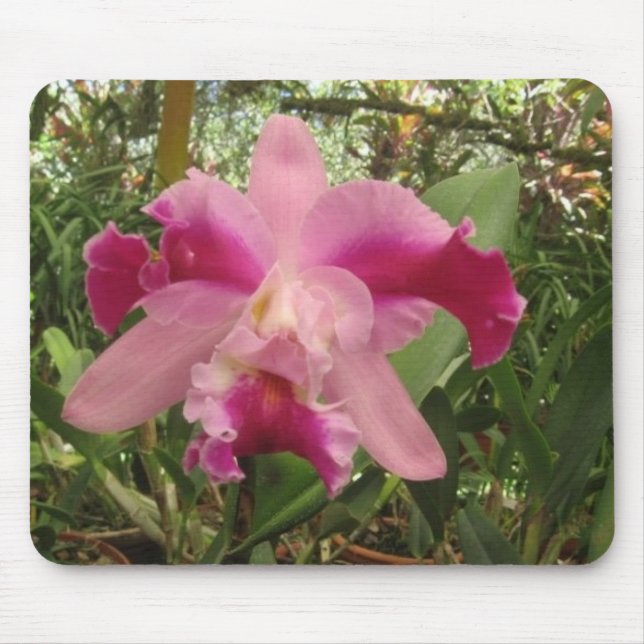 Alfombrilla De Ratón Orquídea de Rican de la costa (Frente)