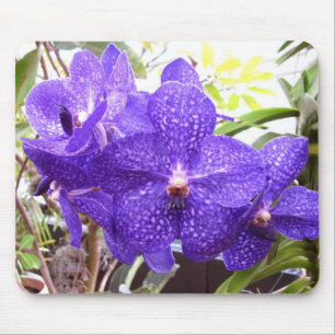 Alfombrilla De Ratón Orquídea de Vanda Pachara