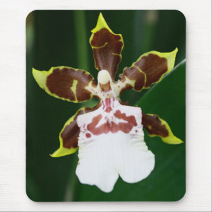 Alfombrilla De Ratón Orquídea de Zygopetalum