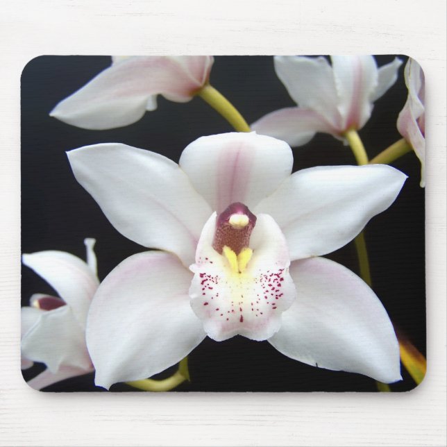 Alfombrilla De Ratón Orquídea hermosa (Frente)