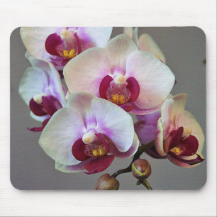Alfombrilla De Ratón Orquídea miniatura