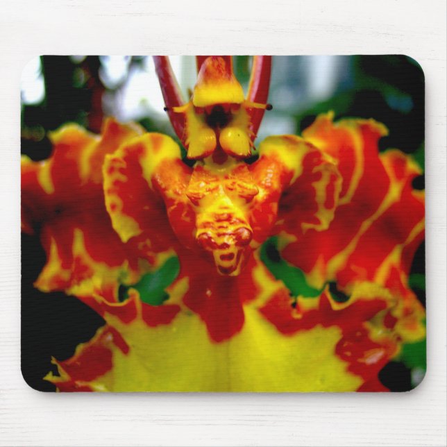 Alfombrilla De Ratón Orquídea Mousepad del Psychopsis (Frente)