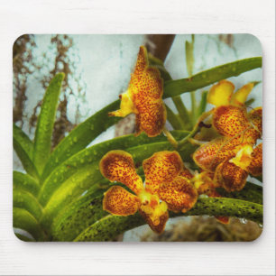 Alfombrilla De Ratón Orquídea - Oncidium - Madura