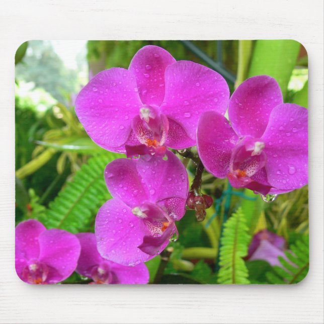 Alfombrilla De Ratón Orquídea púrpura (Frente)