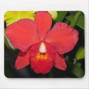 Alfombrilla De Ratón Orquídea Roja Exótica