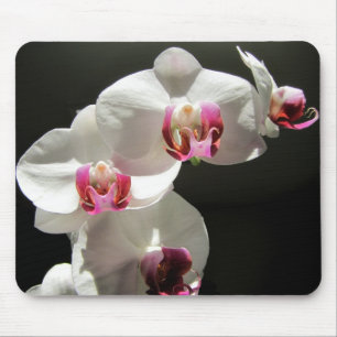 Alfombrilla De Ratón Orquídeas