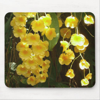 Alfombrilla De Ratón Orquídeas Amarillas colgando flores tropicales