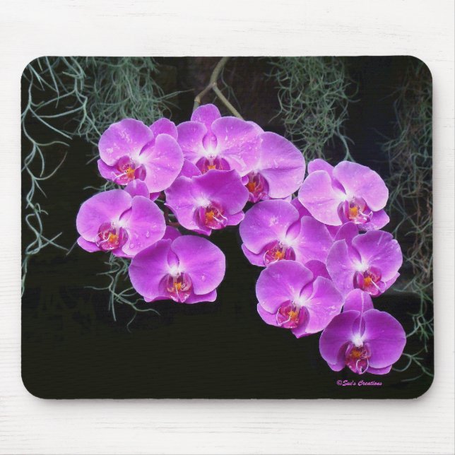 Alfombrilla De Ratón Orquídeas Besadas De Dew (Frente)