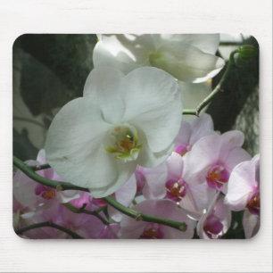 Alfombrilla De Ratón Orquídeas blancas y moradas