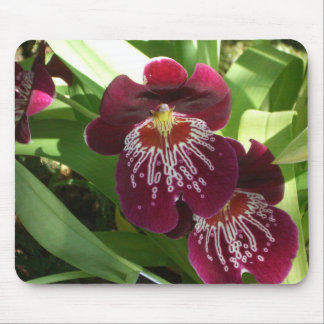 Alfombrilla De Ratón Orquídeas de Marrón II Elegante Floral
