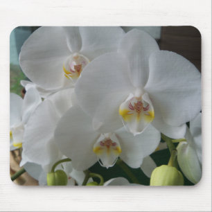 Alfombrilla De Ratón Orquídeas de polilla blancas en un mousepad