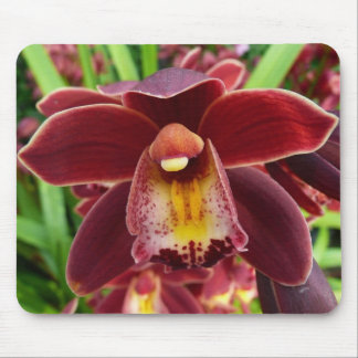 Alfombrilla De Ratón Orquídeas Marrones I Floral Roja Hermosa
