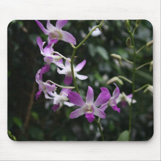 Alfombrilla De Ratón Orquídeas púrpuras