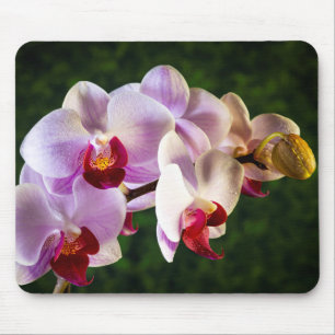 Alfombrilla De Ratón Orquídeas Rosa 0834