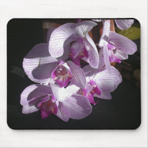 Alfombrilla De Ratón Orquídeas Sunlit