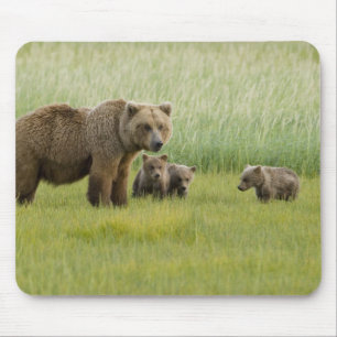Alfombrilla De Ratón Osa de oso pardo de Alaska y tres crías, Ursus