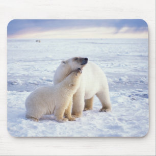 Alfombrilla De Ratón Osa de oso polar con cría, manada