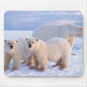 Alfombrilla De Ratón Osa de oso polar con crías en el hielo a la deriva