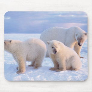 Alfombrilla De Ratón Osa de oso polar con crías en el hielo a la orilla