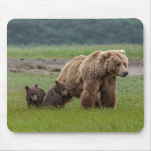Alfombrilla De Ratón Osa Grizzly con crías gemelas