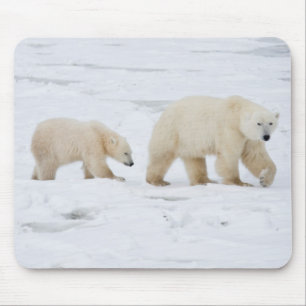 Alfombrilla De Ratón Osa polar hembra y dos crías