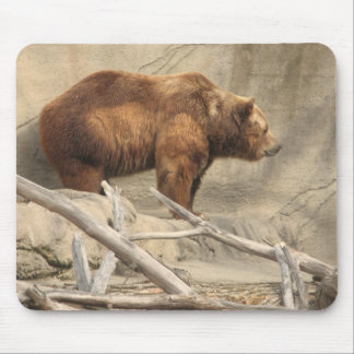 Alfombrilla De Ratón Oso