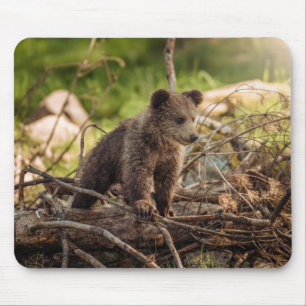 Alfombrilla De Ratón Oso bebé barato en los bosques