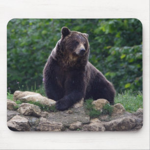 Alfombrilla De Ratón Oso de Brown