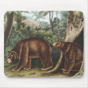 Alfombrilla De Ratón Oso de Cinnamon (Ursus Americanus var. Cinnamonum)