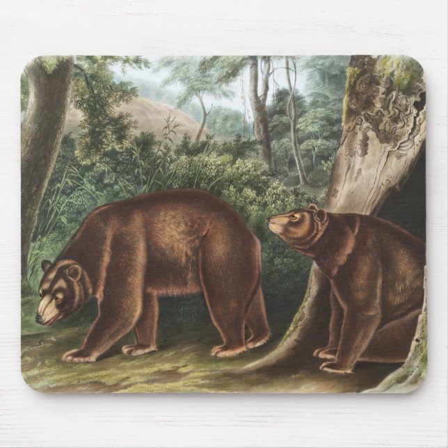 Alfombrilla De Ratón Oso de Cinnamon (Ursus Americanus var. Cinnamonum) (Frente)