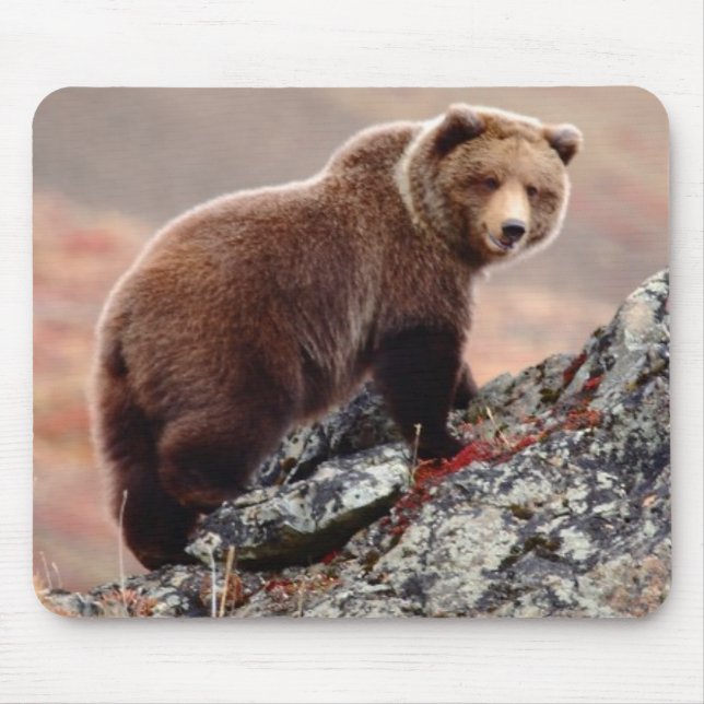 Alfombrilla De Ratón Oso de Denali Brown (Frente)