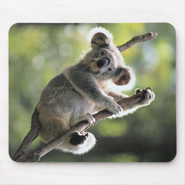 Alfombrilla De Ratón Oso de koala (Frente)