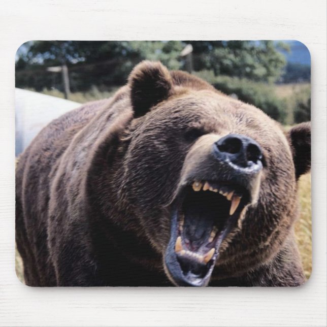 Alfombrilla De Ratón Oso de peluche del rugido (Frente)