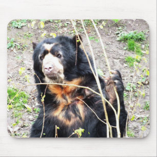 Alfombrilla De Ratón Oso espectáculo