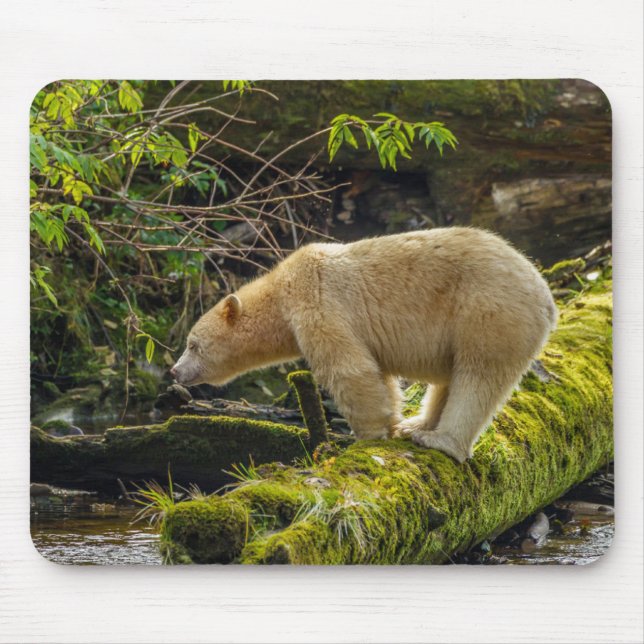 Alfombrilla De Ratón Oso Espíritu Blanco (Frente)