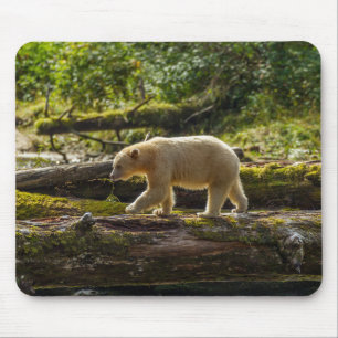Alfombrilla De Ratón Oso Espíritu Blanco Caza
