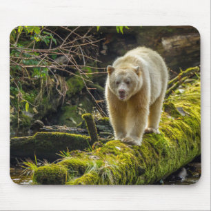 Alfombrilla De Ratón Oso Espíritu Blanco   Columbia Británica, Canadá