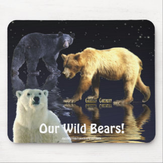 ALFOMBRILLA DE RATÓN OSO GRIZO, OSO NEGRO Y OSO POLAR