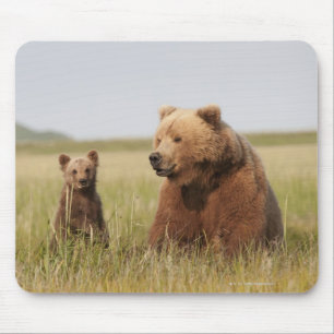 Alfombrilla De Ratón Oso grizzly con Cub